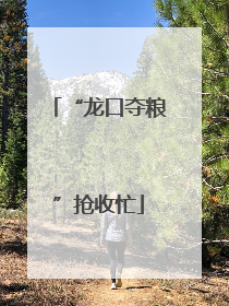“龙口夺粮”抢收忙