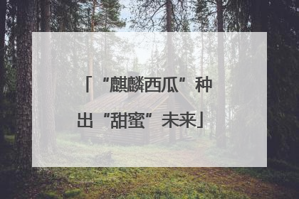 “麒麟西瓜”种出“甜蜜”未来