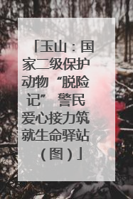 玉山：国家二级保护动物“脱险记” 警民爱心接力筑就生命驿站（图）