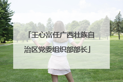 王心富任广西壮族自治区党委组织部部长