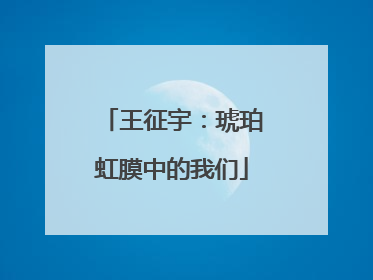 王征宇：琥珀虹膜中的我们