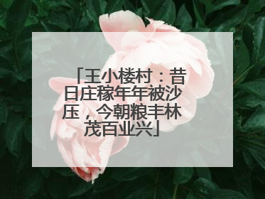 王小楼村：昔日庄稼年年被沙压，今朝粮丰林茂百业兴