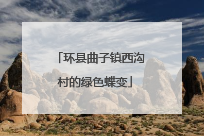 环县曲子镇西沟村的绿色蝶变