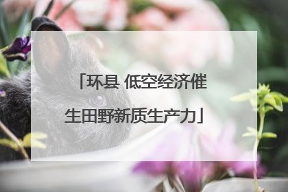 环县 低空经济催生田野新质生产力