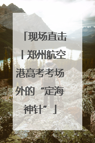 现场直击丨郑州航空港高考考场外的“定海神针”