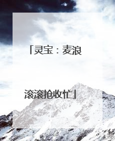 灵宝：麦浪滚滚抢收忙