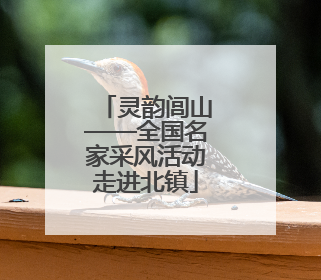 灵韵闾山——全国名家采风活动走进北镇