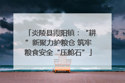 炎陵县霞阳镇：“耕”新聚力护粮仓 筑牢粮食安全“压舱石”