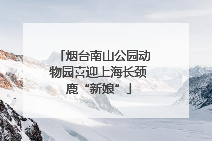 烟台南山公园动物园喜迎上海长颈鹿“新娘”
