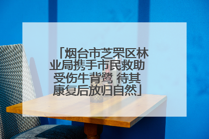 烟台市芝罘区林业局携手市民救助受伤牛背鹭 待其康复后放归自然