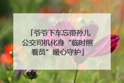 爷爷下车忘带孙儿 公交司机化身“临时照看员”暖心守护