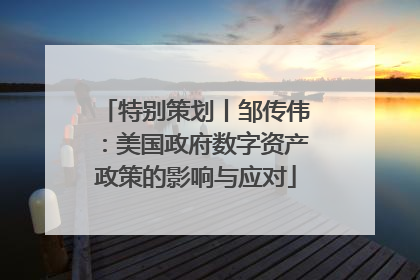 特别策划丨邹传伟：美国政府数字资产政策的影响与应对