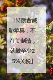 特朗普威胁苹果：不在美制造，就缴至少25%关税
