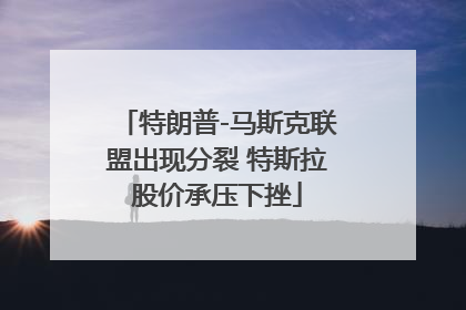 特朗普-马斯克联盟出现分裂 特斯拉股价承压下挫