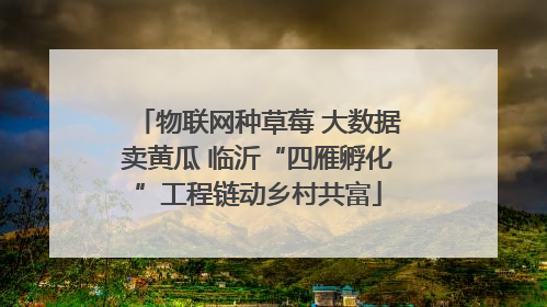 物联网种草莓 大数据卖黄瓜 临沂“四雁孵化”工程链动乡村共富