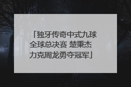 独牙传奇中式九球全球总决赛 楚秉杰力克周龙勇夺冠军