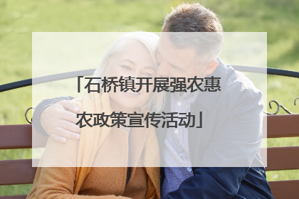 石桥镇开展强农惠农政策宣传活动