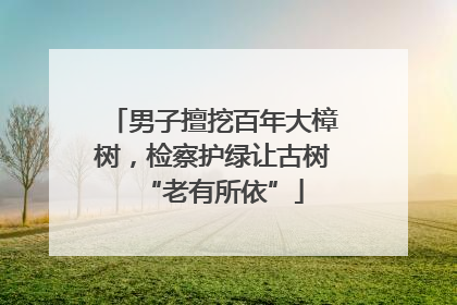 男子擅挖百年大樟树，检察护绿让古树“老有所依”