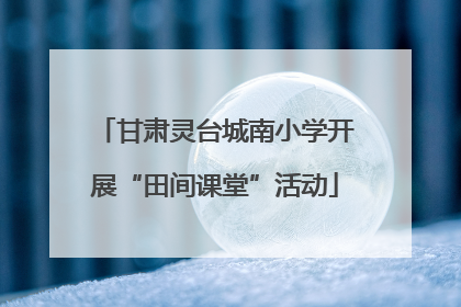 甘肃灵台城南小学开展“田间课堂”活动