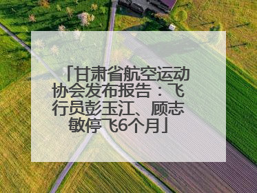 甘肃省航空运动协会发布报告：飞行员彭玉江、顾志敏停飞6个月