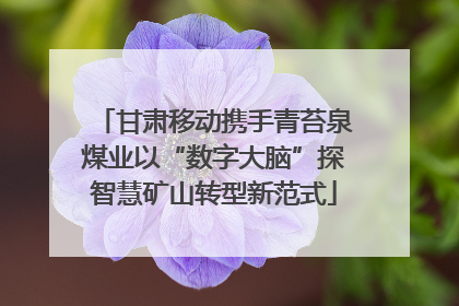 甘肃移动携手青苔泉煤业以“数字大脑”探智慧矿山转型新范式
