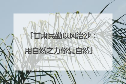 甘肃民勤以风治沙：用自然之力修复自然