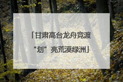 甘肃高台龙舟竞渡“划”亮荒漠绿洲
