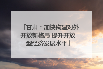 甘肃：加快构建对外开放新格局 提升开放型经济发展水平