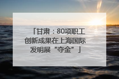 甘肃：80项职工创新成果在上海国际发明展“夺金”