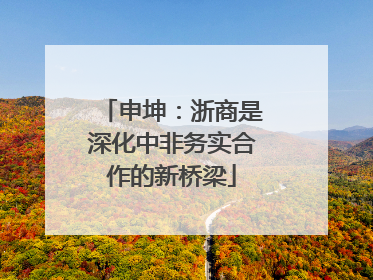 申坤：浙商是深化中非务实合作的新桥梁
