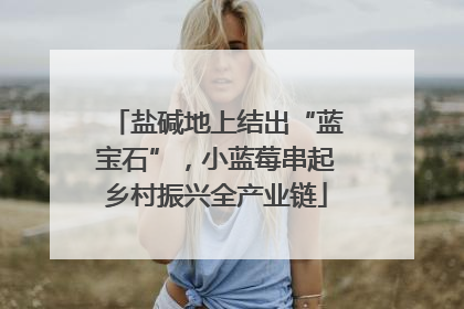 盐碱地上结出“蓝宝石”，小蓝莓串起乡村振兴全产业链