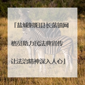盐城射阳县长荡镇网格员助力民法典宣传 让法治精神深入人心