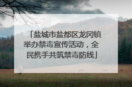 盐城市盐都区龙冈镇举办禁毒宣传活动，全民携手共筑禁毒防线