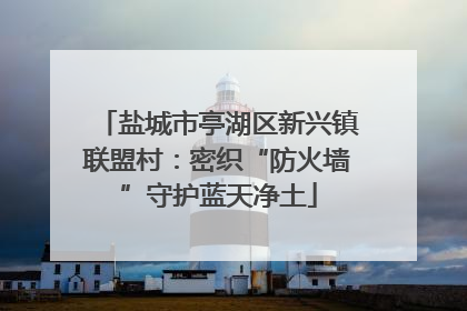 盐城市亭湖区新兴镇联盟村：密织“防火墙”守护蓝天净土