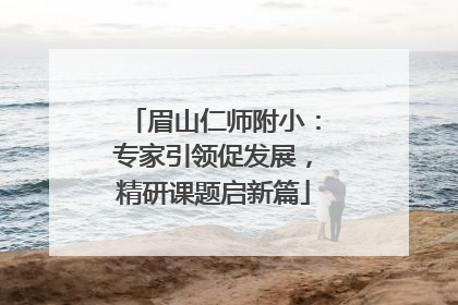 眉山仁师附小：专家引领促发展，精研课题启新篇
