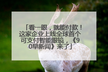 看一眼，就能付款！这家企业上线全球首个可支付智能眼镜，《90早新闻》来了
