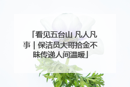 看见五台山 凡人凡事｜保洁员大哥拾金不昧传递人间温暖