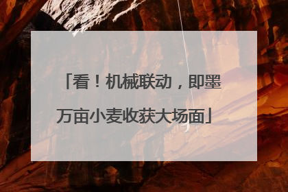 看！机械联动，即墨万亩小麦收获大场面