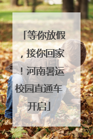 等你放假，接你回家！河南暑运校园直通车开启
