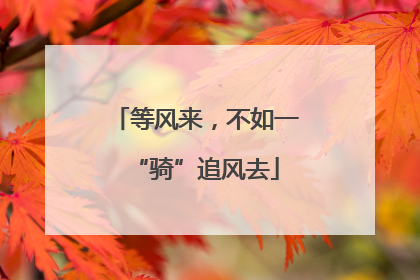 等风来，不如一“骑”追风去