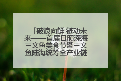 破浪向鲜 链动未来——首届日照深海三文鱼美食节暨三文鱼陆海统筹全产业链发展会议嘉宾访谈