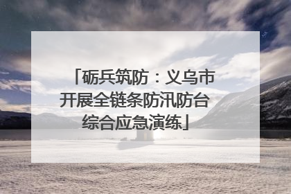 砺兵筑防：义乌市开展全链条防汛防台综合应急演练