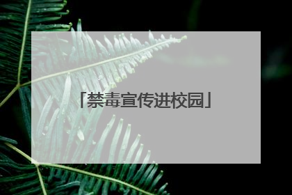 禁毒宣传进校园