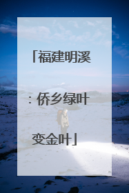 福建明溪：侨乡绿叶变金叶