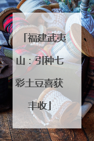 福建武夷山：引种七彩土豆喜获丰收