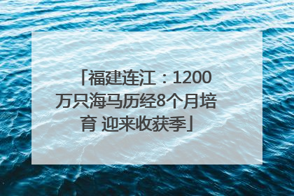 福建连江：1200万只海马历经8个月培育 迎来收获季
