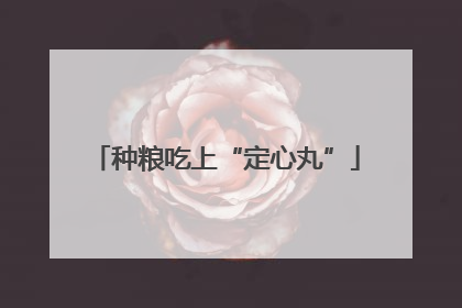 种粮吃上“定心丸”