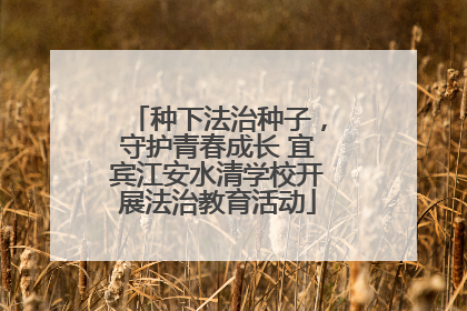 种下法治种子，守护青春成长 宜宾江安水清学校开展法治教育活动