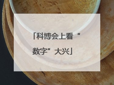科博会上看“数字”大兴