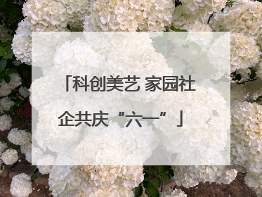 科创美艺 家园社企共庆“六一”